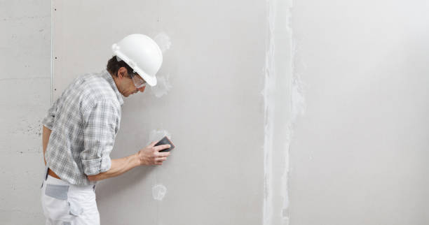 Best Drywall Sanding and Smoothing  in Fosston, MN